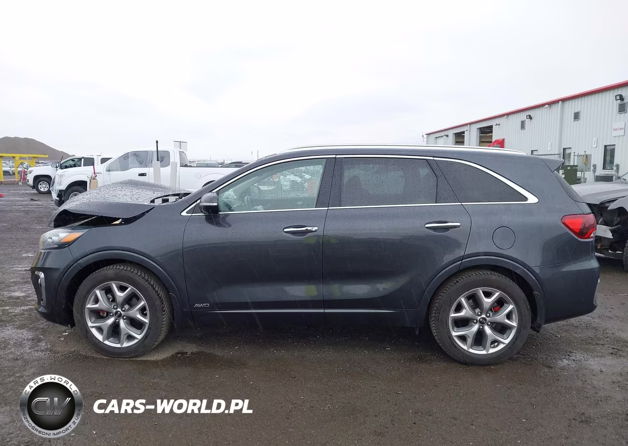 2019 Kia Sorento 3.3L Sx VIN:5XYPKDA55KG557820 - 15