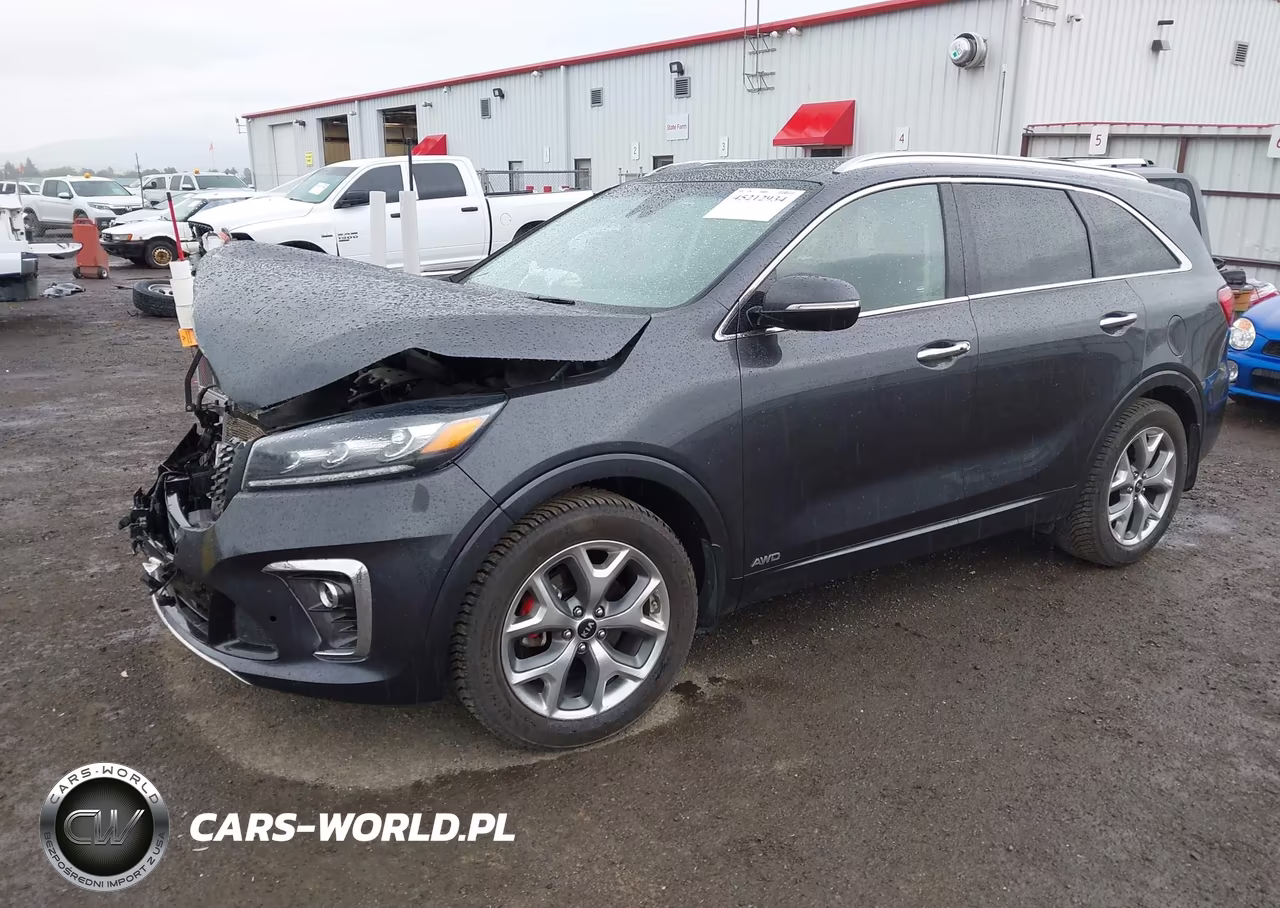 2019 Kia Sorento 3.3L Sx VIN:5XYPKDA55KG557820 - 2