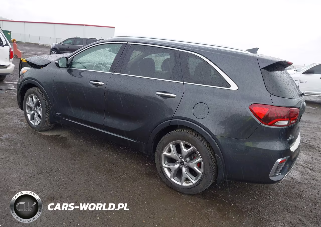 2019 Kia Sorento 3.3L Sx VIN:5XYPKDA55KG557820 - 3