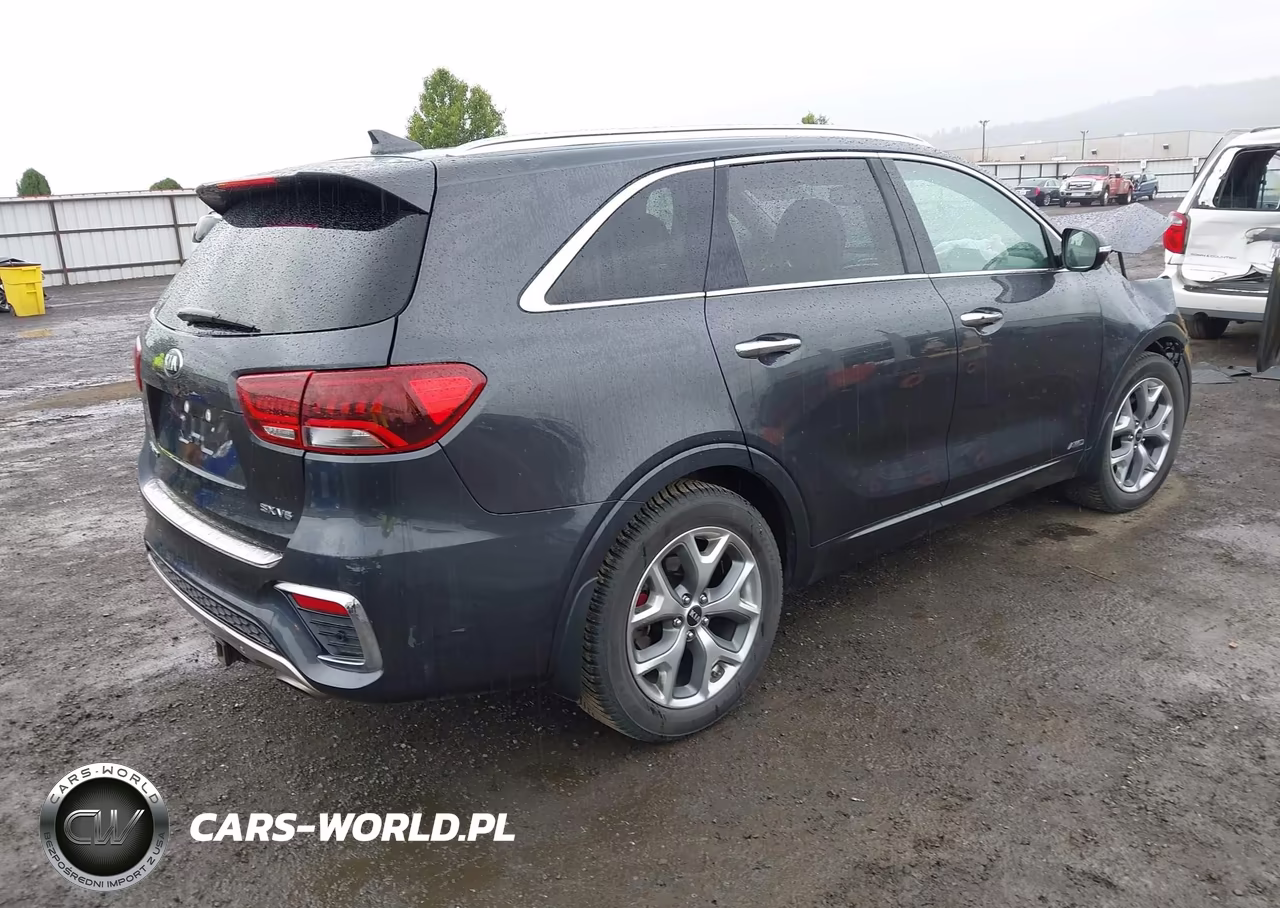 2019 Kia Sorento 3.3L Sx VIN:5XYPKDA55KG557820 - 4