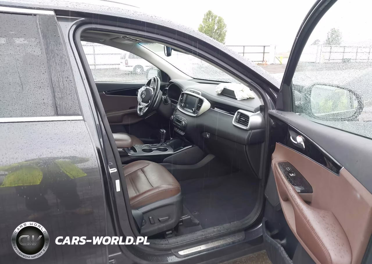 2019 Kia Sorento 3.3L Sx VIN:5XYPKDA55KG557820 - 5