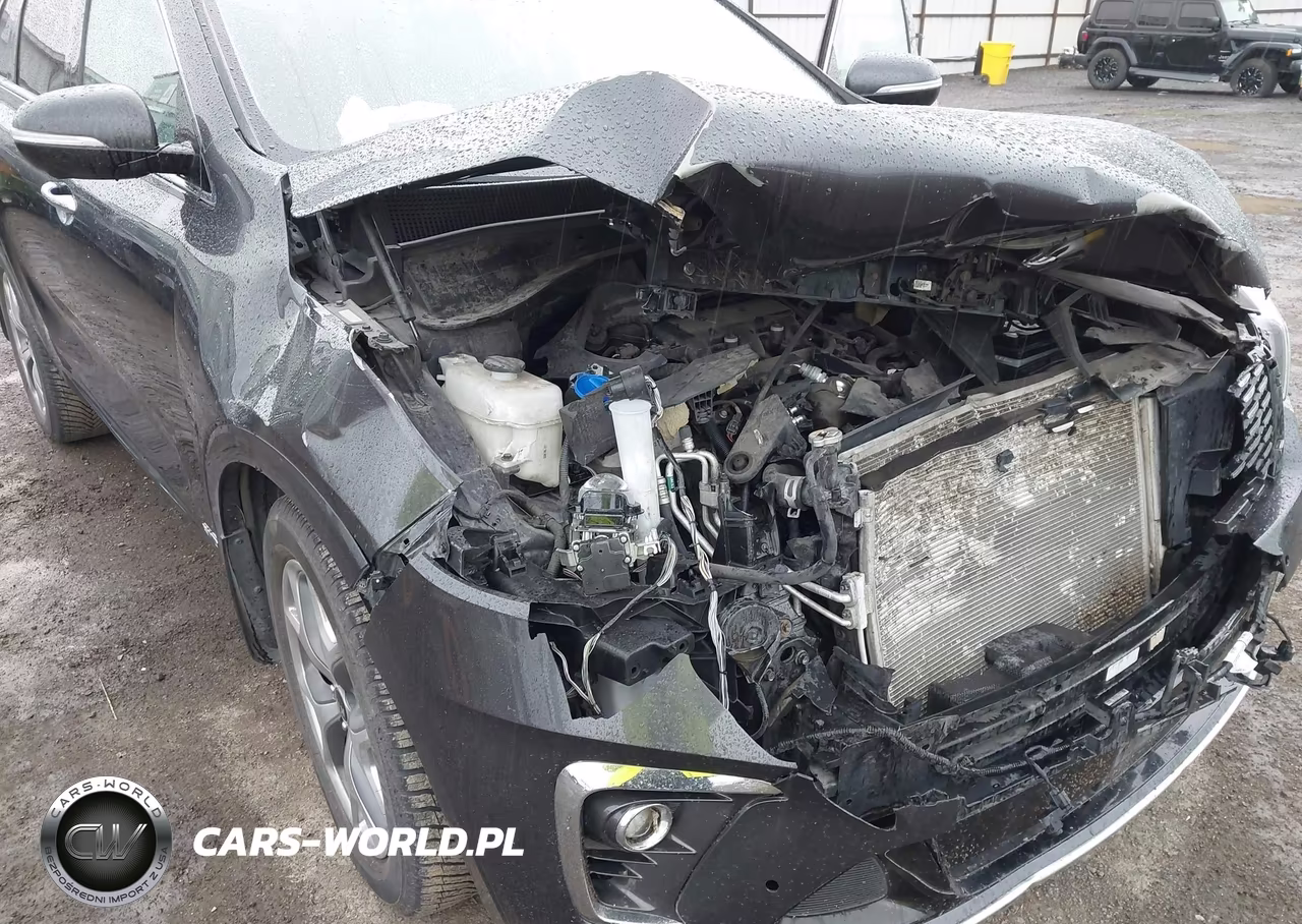 2019 Kia Sorento 3.3L Sx VIN:5XYPKDA55KG557820 - 6