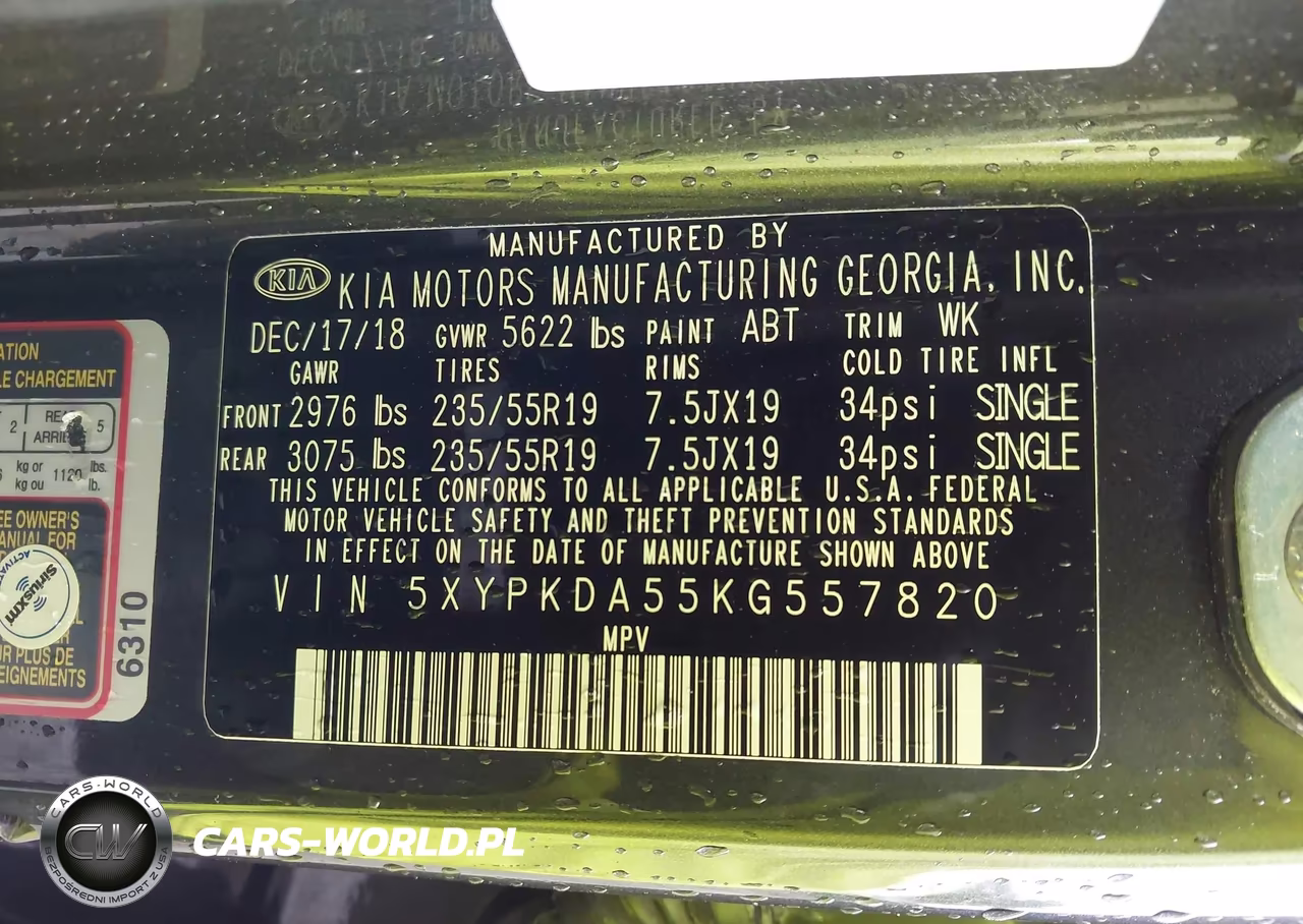 2019 Kia Sorento 3.3L Sx VIN:5XYPKDA55KG557820 - 9