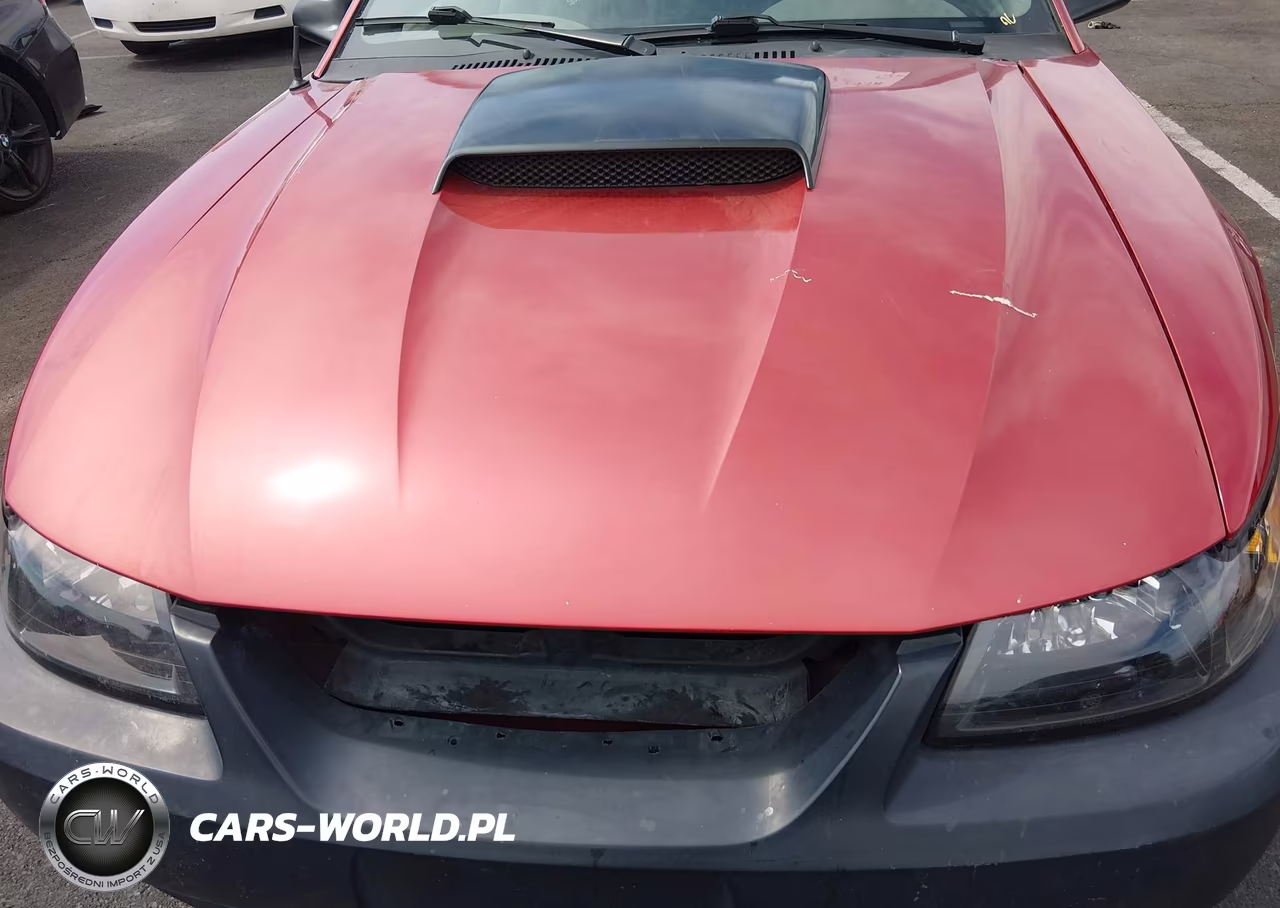 2001 Ford Mustang Gt VIN:1FAFP45X61F263827 - 12
