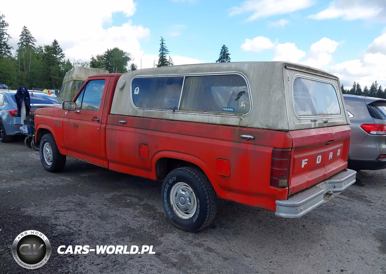 1981 Ford F150 VIN:1FTDF15E2BPA95553 - 3