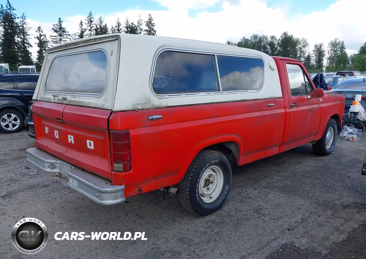 1981 Ford F150 VIN:1FTDF15E2BPA95553 - 4