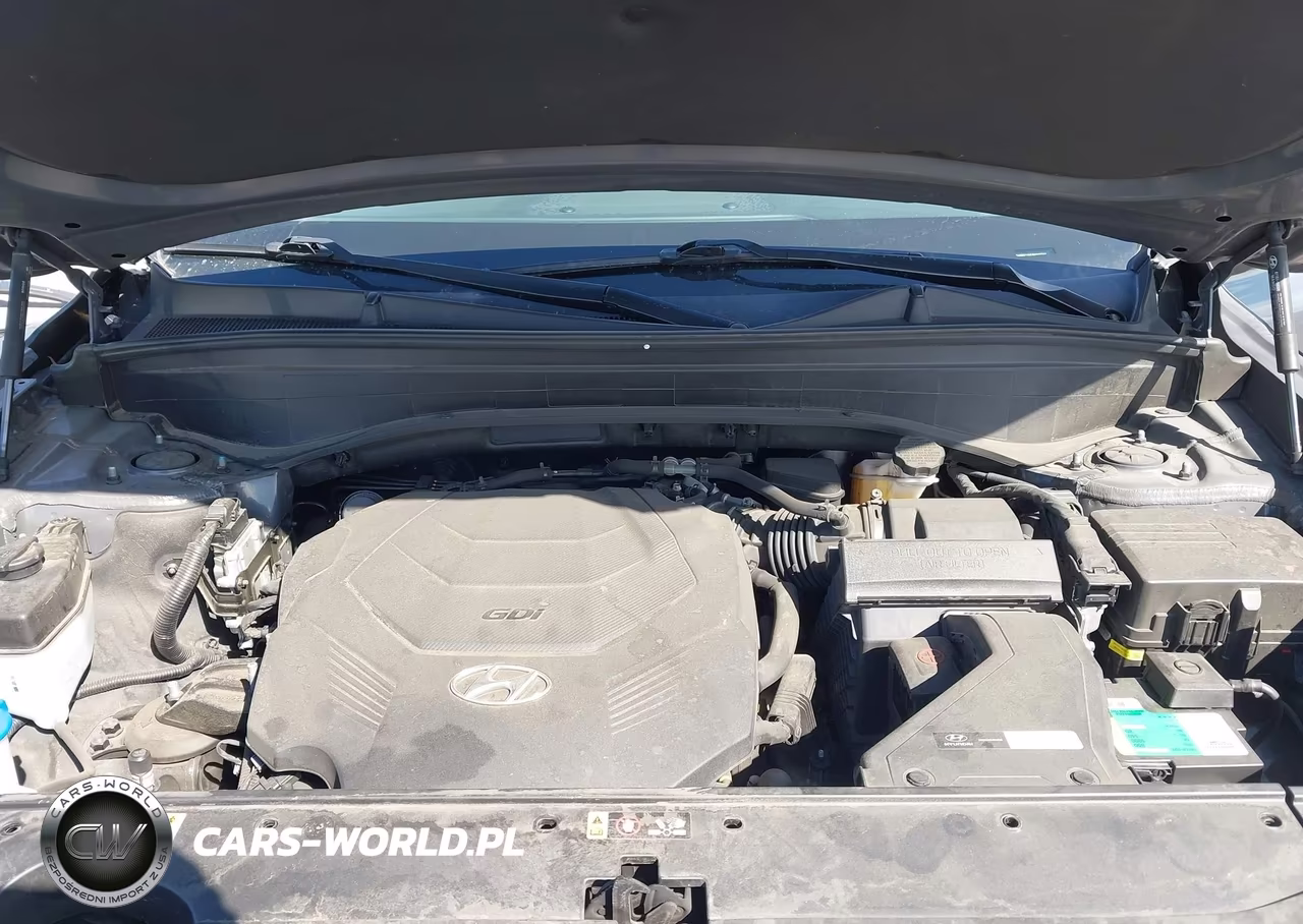 2021 Hyundai Palisade Sel VIN:KM8R24HE9MU192344 - 10