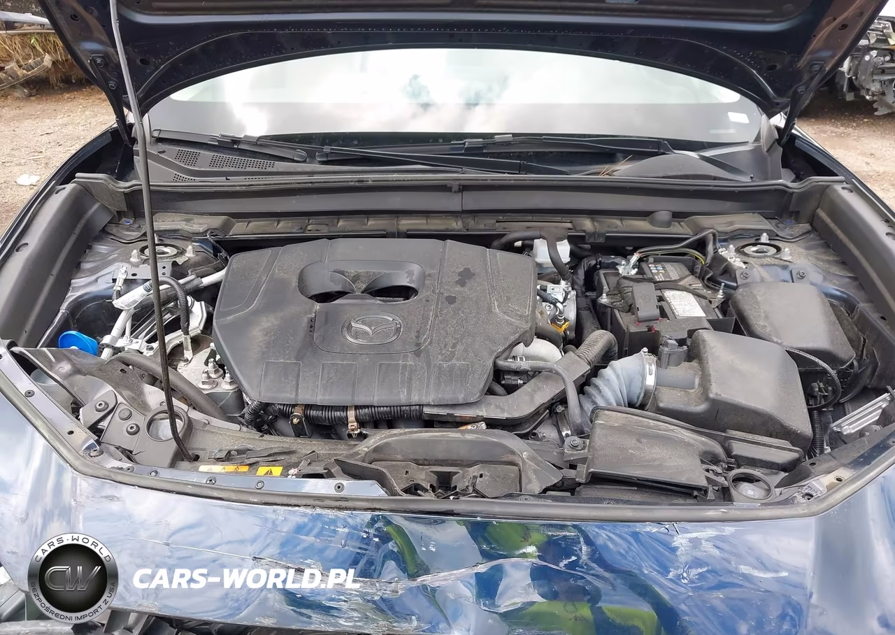 2024 Mazda Cx-30 2.5 S Preferred Package VIN:3MVDMBCM9RM700740 - 10