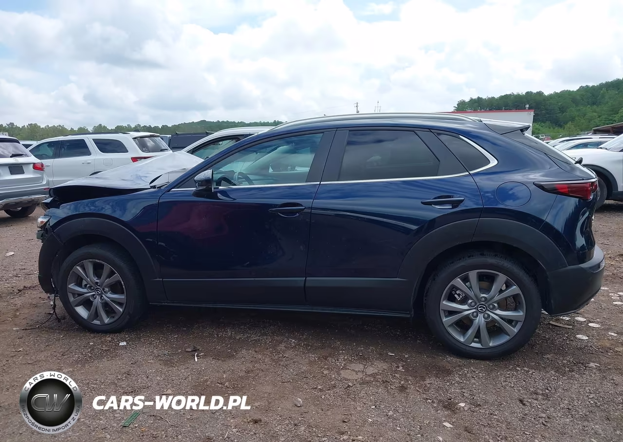2024 Mazda Cx-30 2.5 S Preferred Package VIN:3MVDMBCM9RM700740 - 15