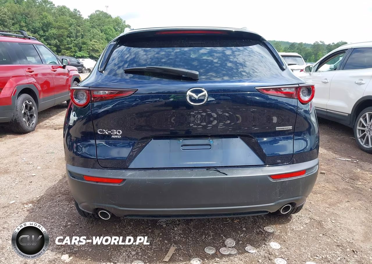 2024 Mazda Cx-30 2.5 S Preferred Package VIN:3MVDMBCM9RM700740 - 17