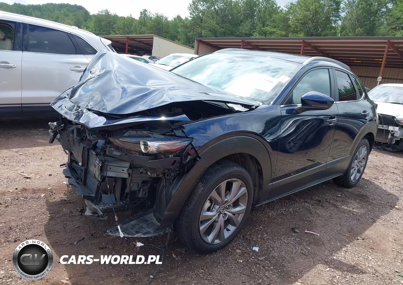 2024 Mazda Cx-30 2.5 S Preferred Package VIN:3MVDMBCM9RM700740 - 2