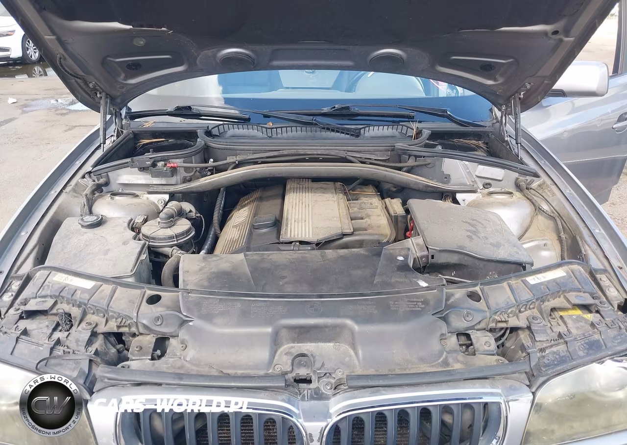 2004 BMW X3 3.0I VIN:WBXPA93414WA64846 - 10