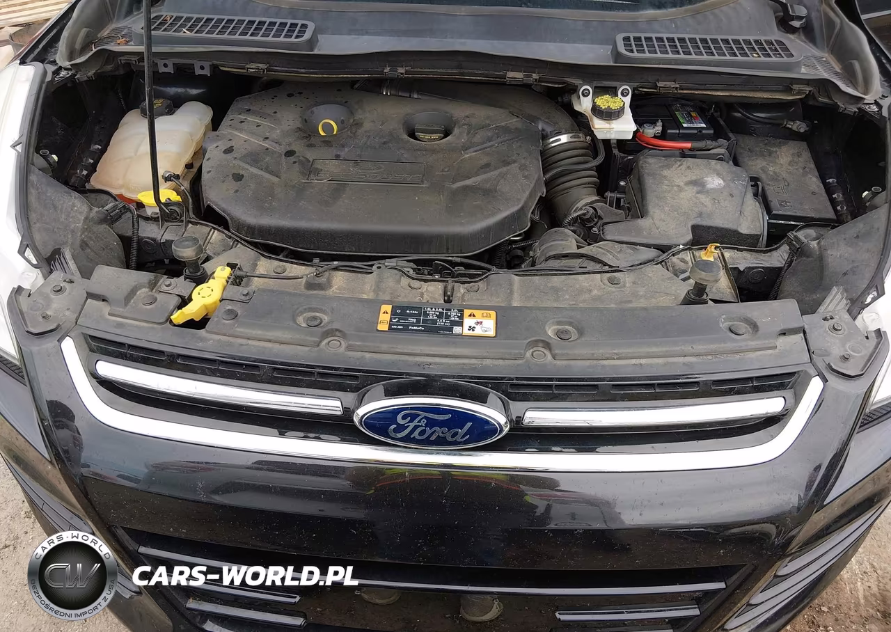 2015 Ford Escape Titanium VIN:1FMCU0J91FUA90240 - 10