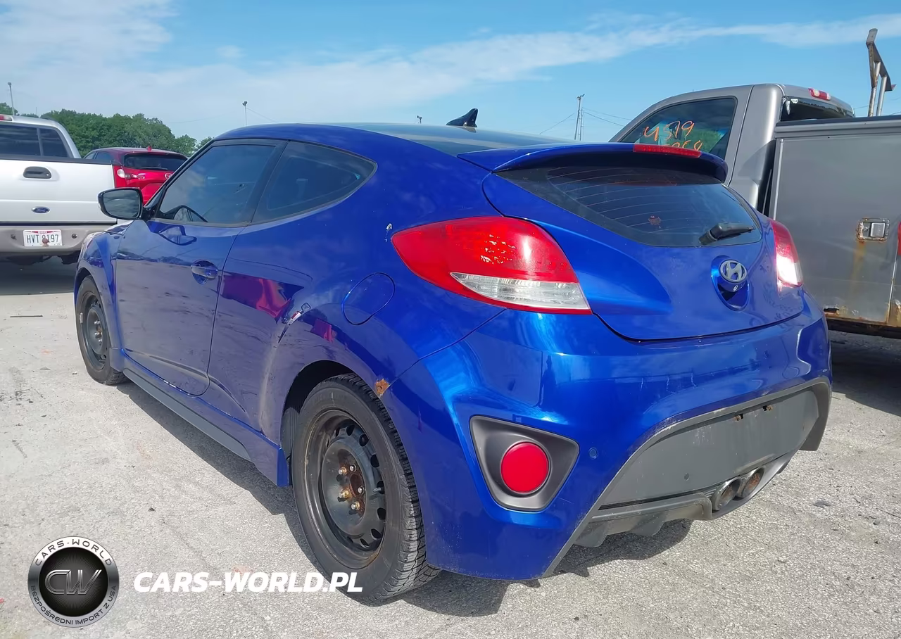 2013 Hyundai Veloster Turbo W-Black VIN:KMHTC6AE9DU111948 - 3