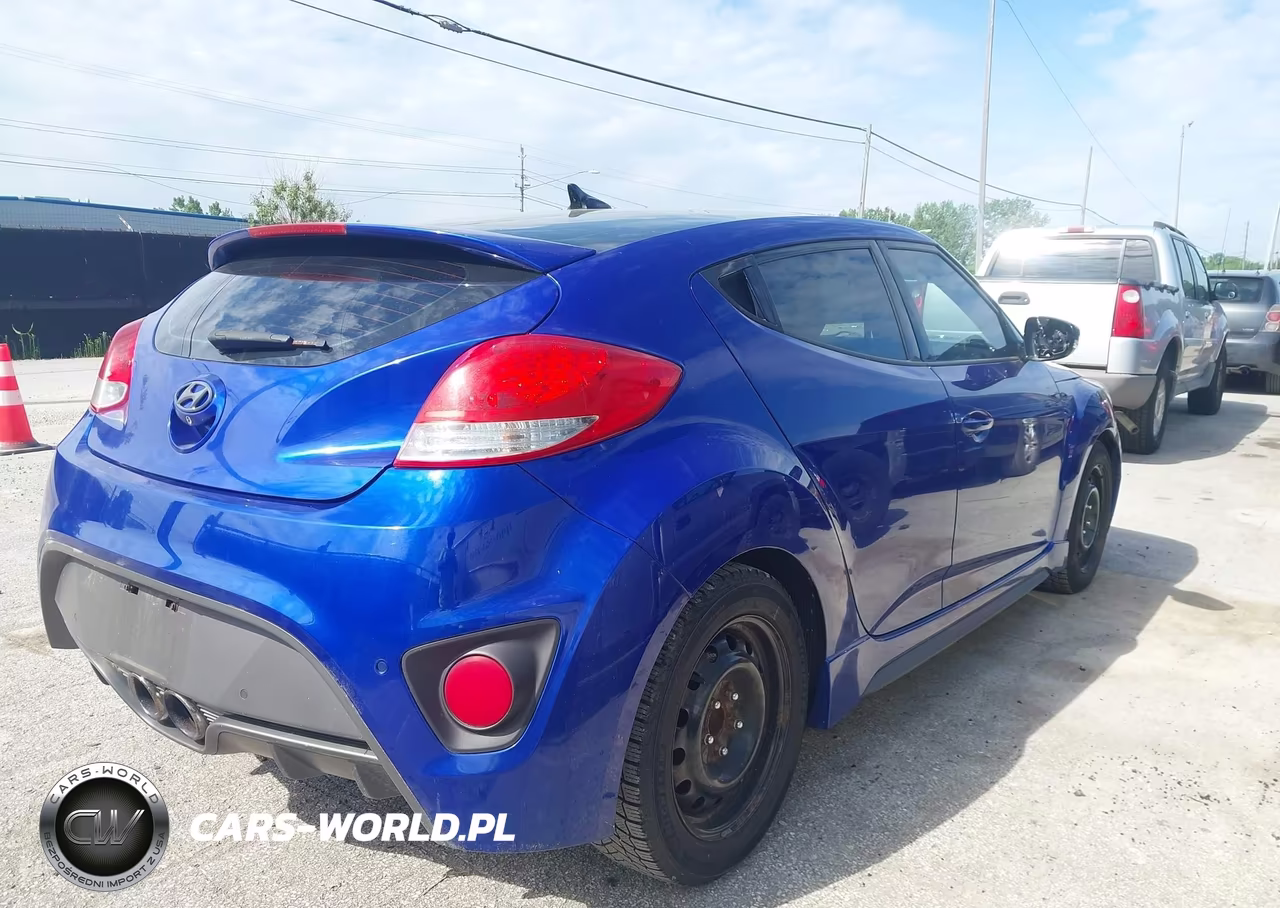 2013 Hyundai Veloster Turbo W-Black VIN:KMHTC6AE9DU111948 - 4