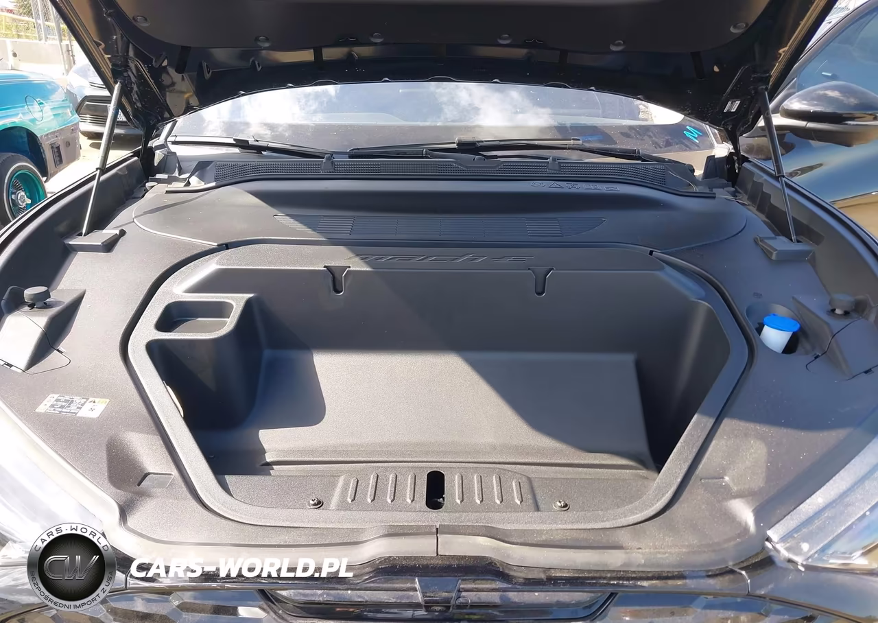 2025 Ford Mustang Mach-E Premium VIN:3FMTK3R79SMA54868 - 10