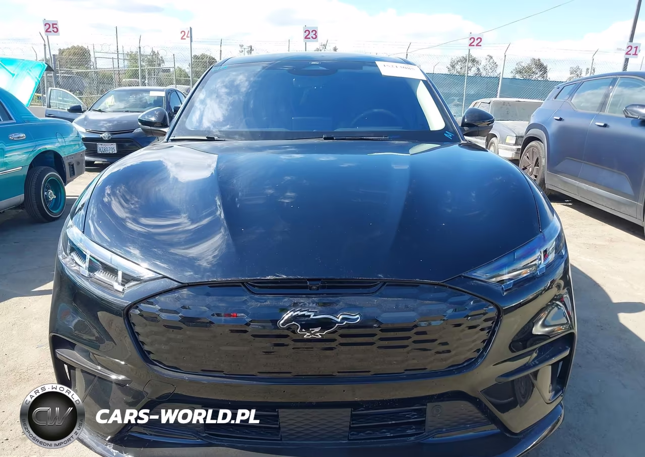 2025 Ford Mustang Mach-E Premium VIN:3FMTK3R79SMA54868 - 12