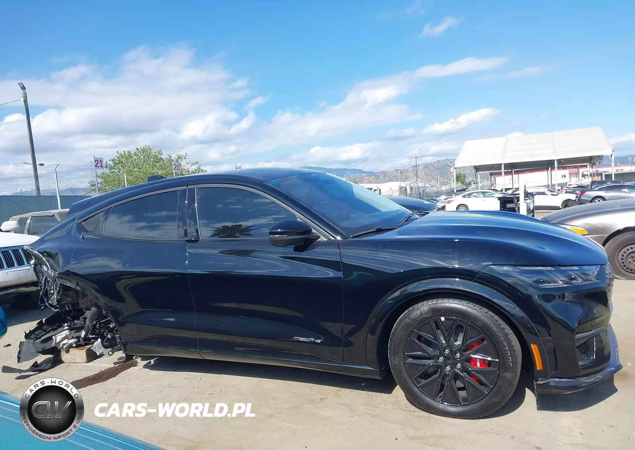 2025 Ford Mustang Mach-E Premium VIN:3FMTK3R79SMA54868 - 13