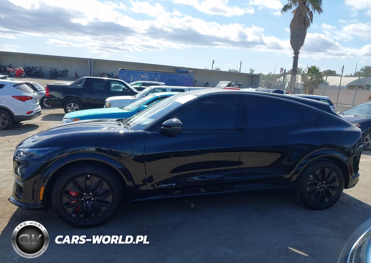 2025 Ford Mustang Mach-E Premium VIN:3FMTK3R79SMA54868 - 14