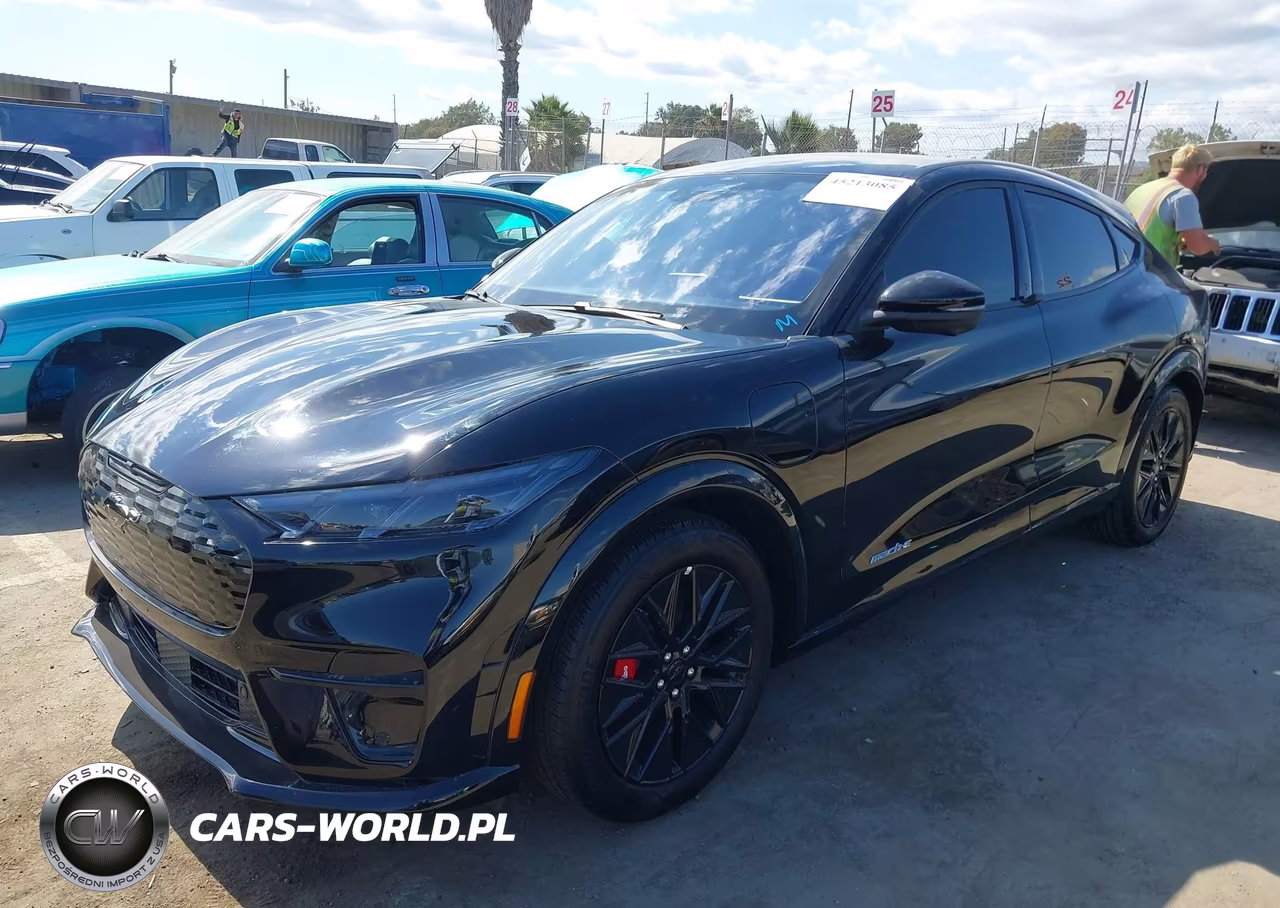 2025 Ford Mustang Mach-E Premium VIN:3FMTK3R79SMA54868 - 2