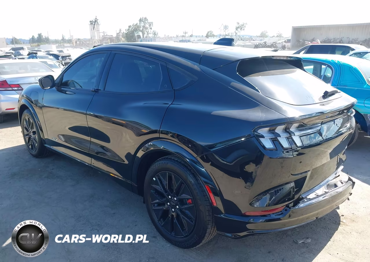2025 Ford Mustang Mach-E Premium VIN:3FMTK3R79SMA54868 - 3