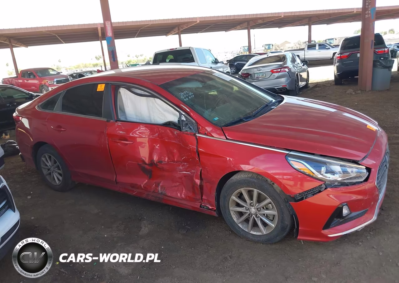 2019 Hyundai Sonata Se VIN:5NPE24AF1KH782566 - 12