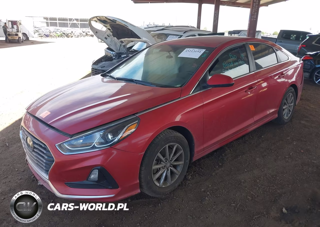 2019 Hyundai Sonata Se VIN:5NPE24AF1KH782566 - 2