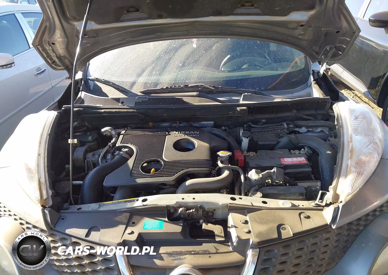 2014 Nissan Juke Sl VIN:JN8AF5MV1ET356344 - 10