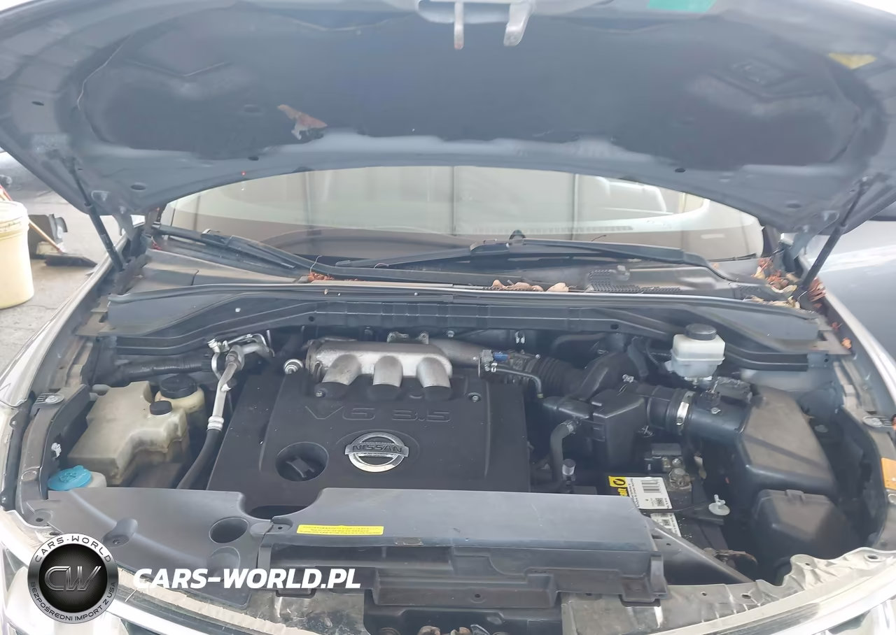 2006 Nissan Murano Sl VIN:JN8AZ08T46W401067 - 10