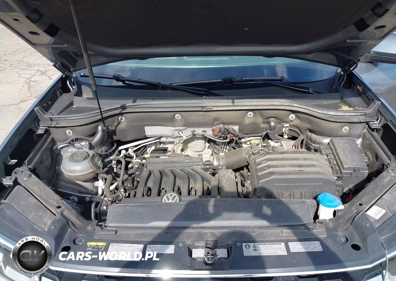 2019 Volkswagen Atlas 3.6L V6 Sel VIN:1V2MR2CA7KC604569 - 10