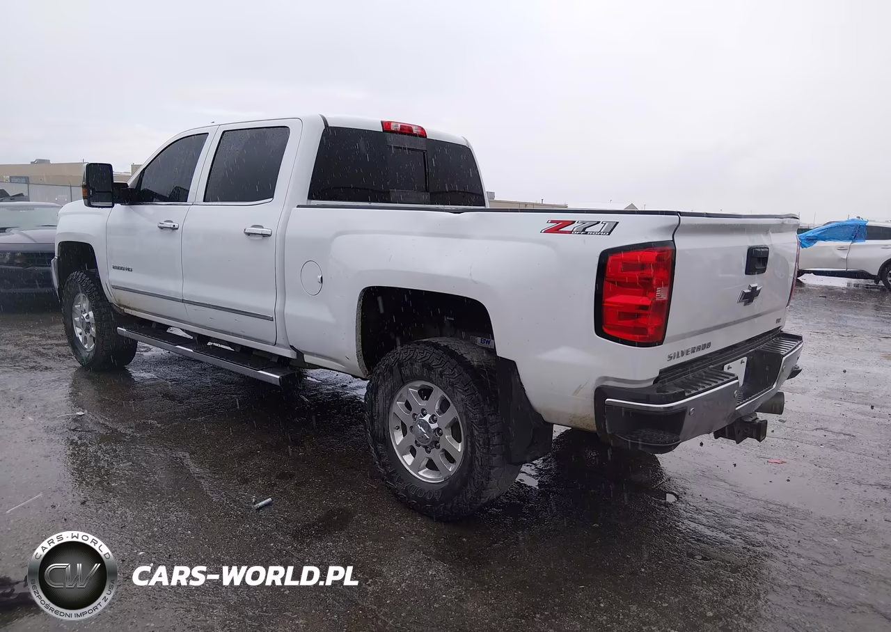 2019 Chevrolet Silverado 2500Hd Ltz VIN:1GC1KTEY7KF234456 - 3