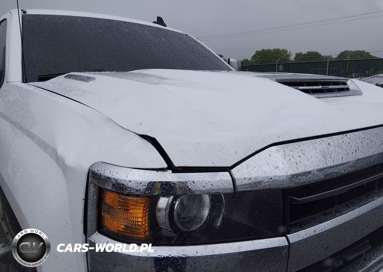 2019 Chevrolet Silverado 2500Hd Ltz VIN:1GC1KTEY7KF234456 - 6