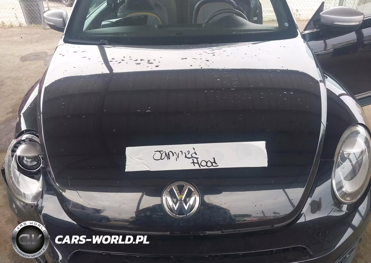 2018 Volkswagen Beetle 2.0T Dune VIN:3VWSD7AT7JM711866 - 10