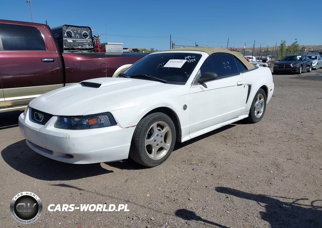 2004 Ford Mustang VIN:1FAFP446X4F153487 - 2