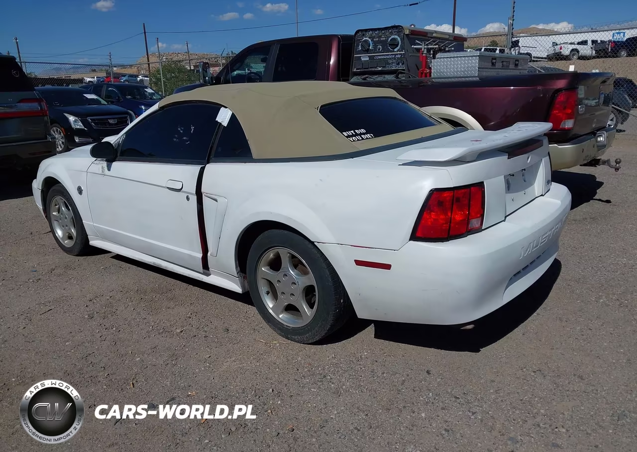 2004 Ford Mustang VIN:1FAFP446X4F153487 - 3