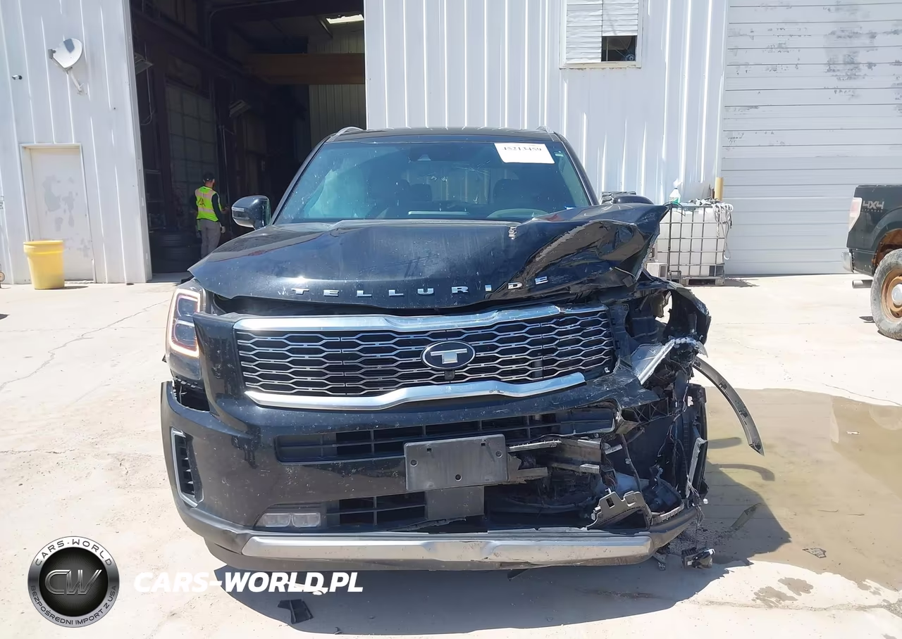 2020 Kia Telluride Sx VIN:5XYP5DHC0LG071235 - 12