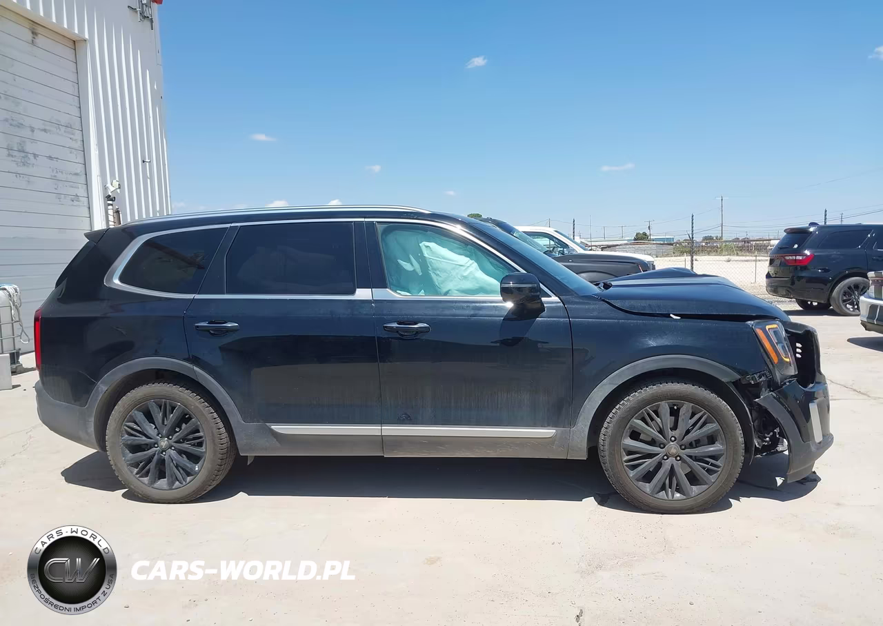 2020 Kia Telluride Sx VIN:5XYP5DHC0LG071235 - 13