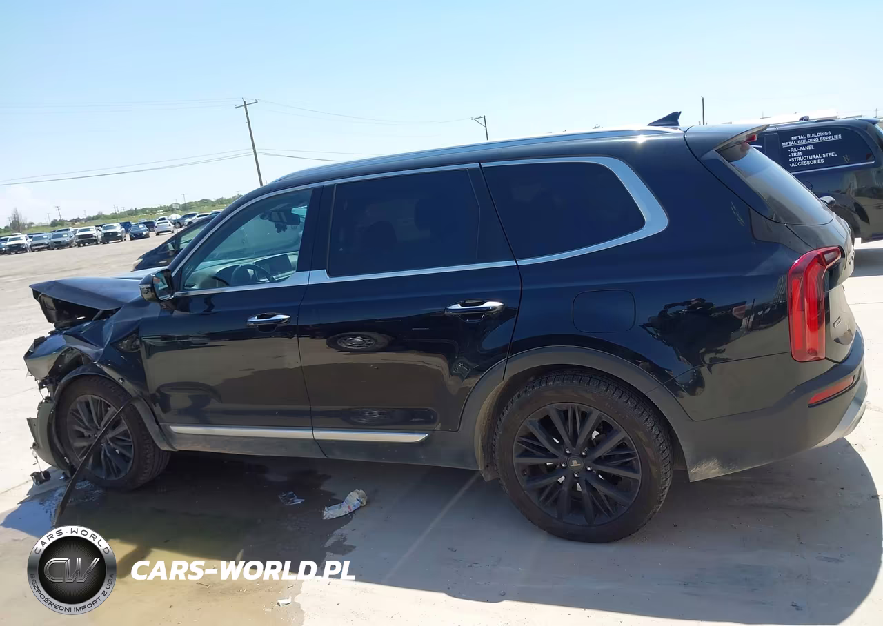 2020 Kia Telluride Sx VIN:5XYP5DHC0LG071235 - 14