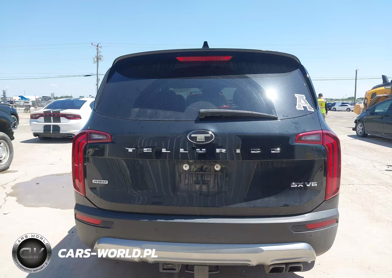 2020 Kia Telluride Sx VIN:5XYP5DHC0LG071235 - 16