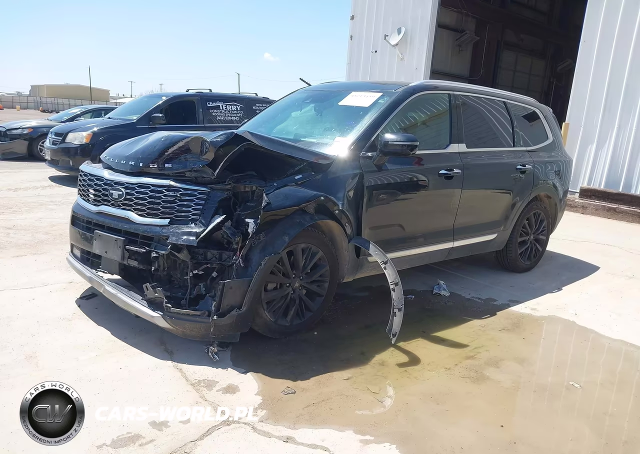 2020 Kia Telluride Sx VIN:5XYP5DHC0LG071235 - 2