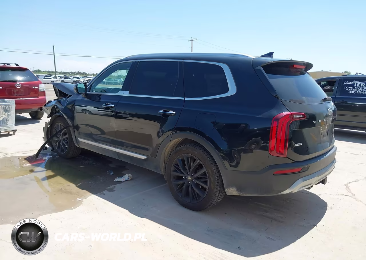 2020 Kia Telluride Sx VIN:5XYP5DHC0LG071235 - 3
