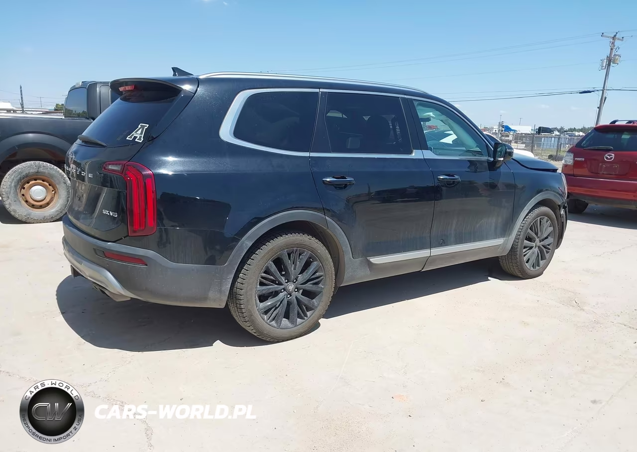 2020 Kia Telluride Sx VIN:5XYP5DHC0LG071235 - 4