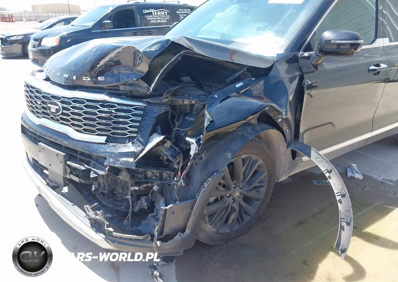 2020 Kia Telluride Sx VIN:5XYP5DHC0LG071235 - 6
