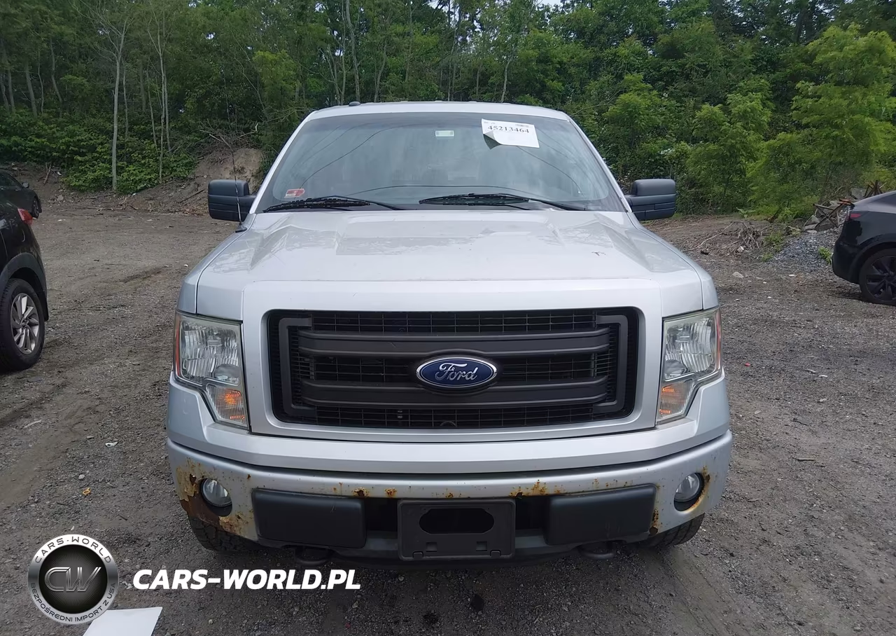 2013 Ford F-150 Stx VIN:1FTFX1EF5DFC68229 - 12