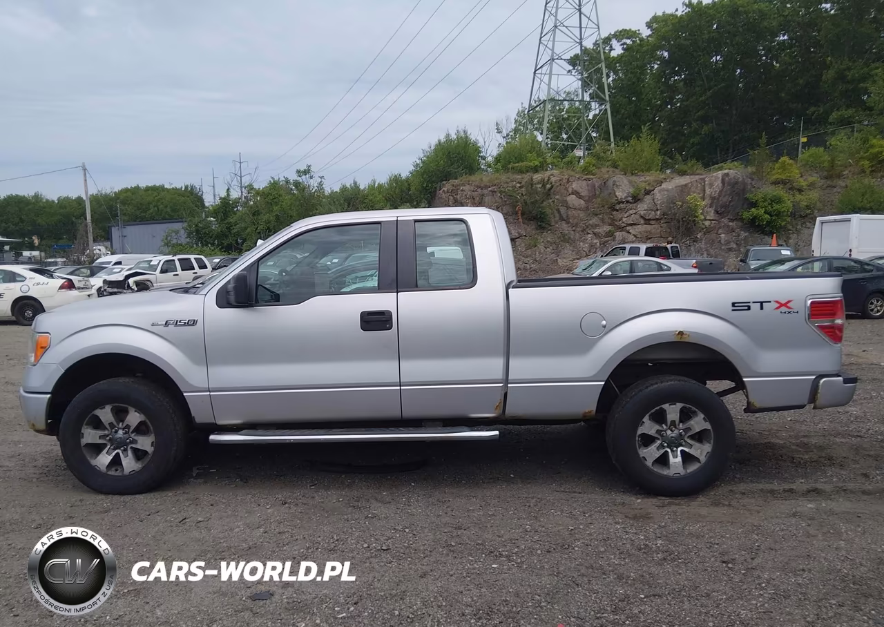 2013 Ford F-150 Stx VIN:1FTFX1EF5DFC68229 - 14