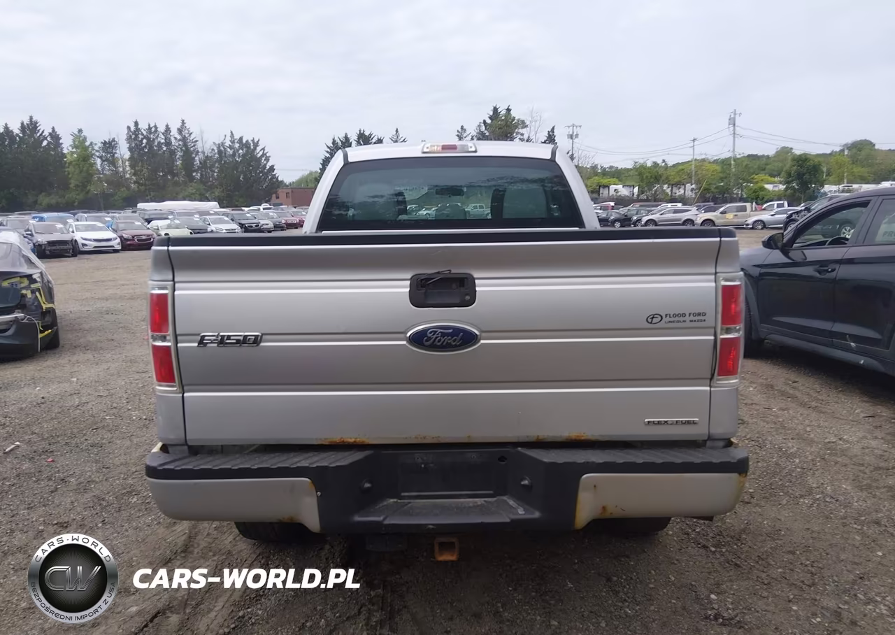 2013 Ford F-150 Stx VIN:1FTFX1EF5DFC68229 - 16