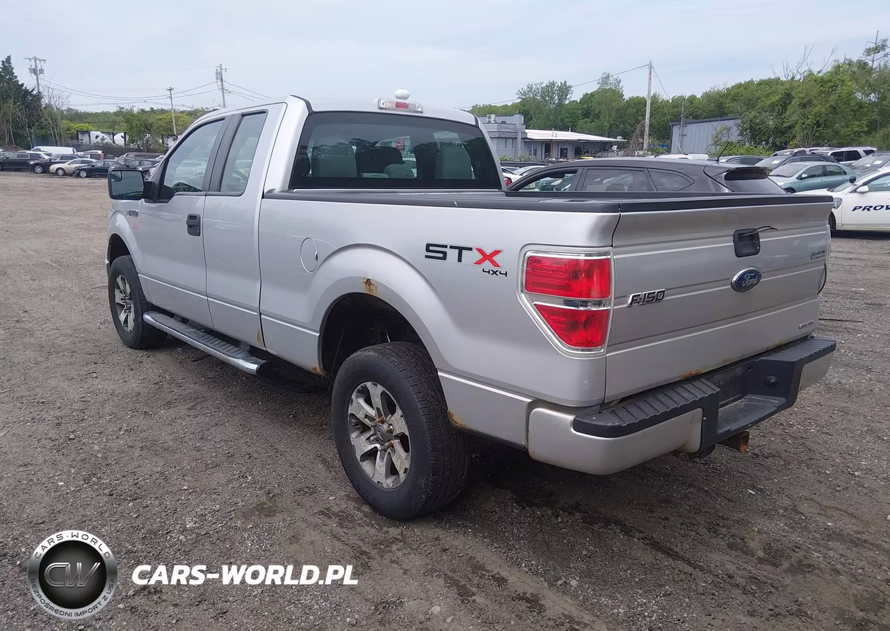 2013 Ford F-150 Stx VIN:1FTFX1EF5DFC68229 - 3