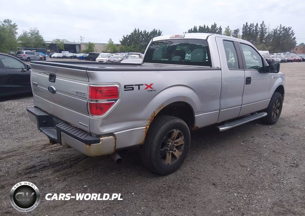 2013 Ford F-150 Stx VIN:1FTFX1EF5DFC68229 - 4