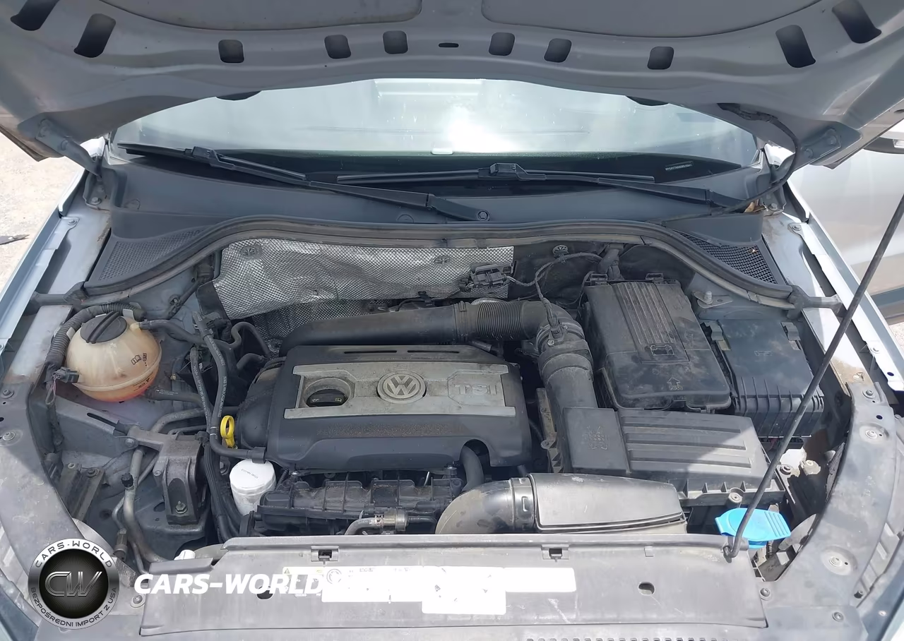2016 Volkswagen Tiguan S VIN:WVGAV7AX4GW519940 - 10