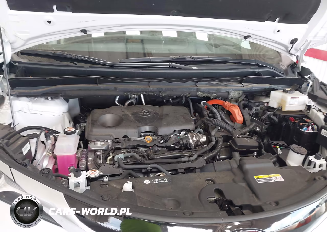 2024 Toyota Sienna Platinum VIN:5TDESKFC6RS147379 - 10